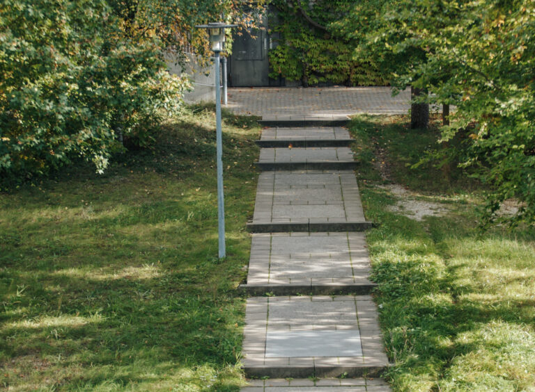 Beitragsbild für Auslandsstudium